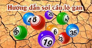 Bắt lô gan hiện nay được chia ra làm hai thể loại chính